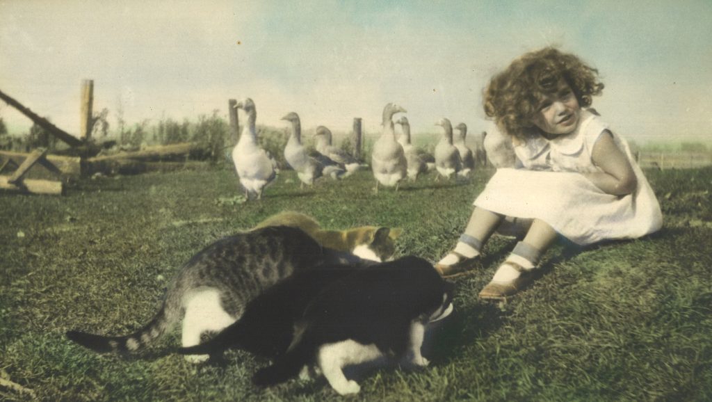 Robson, Maxine Card