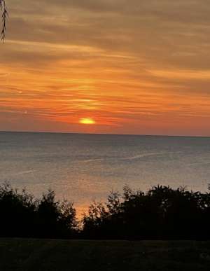 SMITH: David Roy of Bayfield