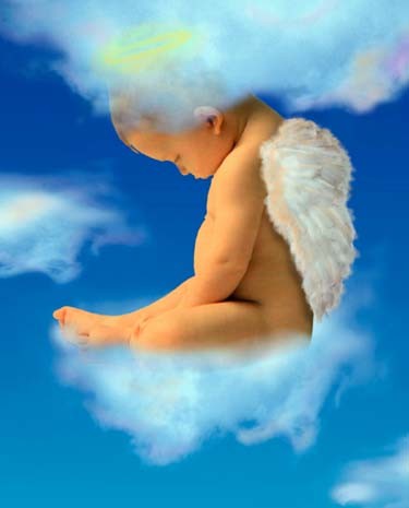 BECKER-MCADAMS: Baby Jacob Terry