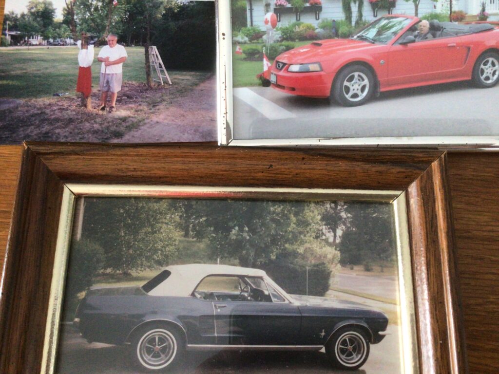 Shared by Rick