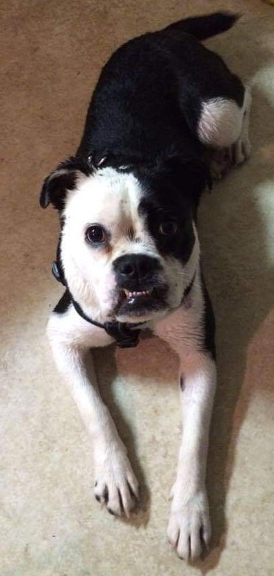 Shared by Deb Kostuk